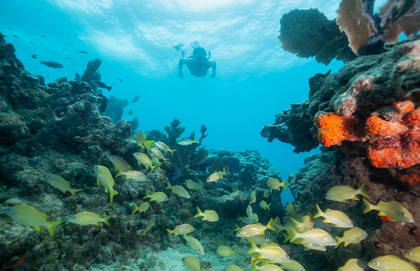 Top family summer vacation is Key West, Florida