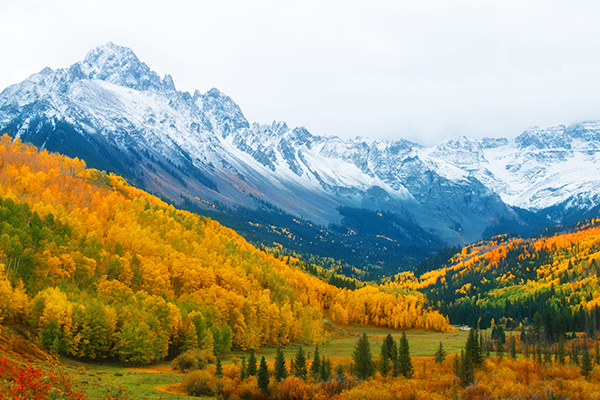 ship my luggage to Telluride