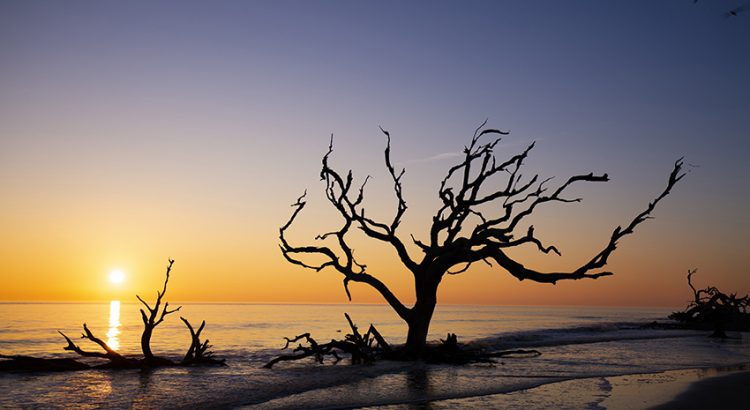 The best beaches to explore this winter using ShipGo