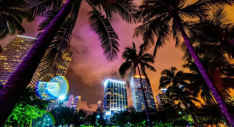 Where to Eat, Drink, Shop, and Stay in Miami