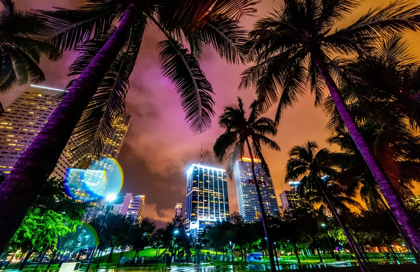 Where to Eat, Drink, Shop, and Stay in Miami
