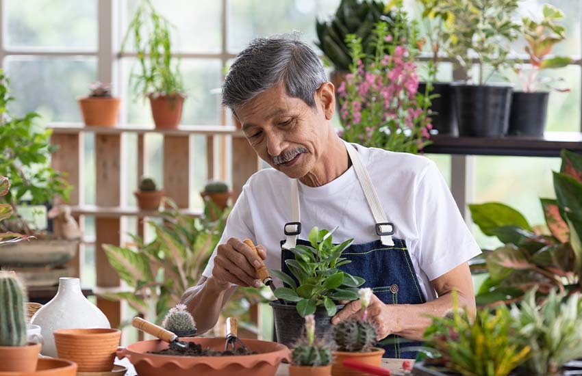 Prepare your plants for vacation