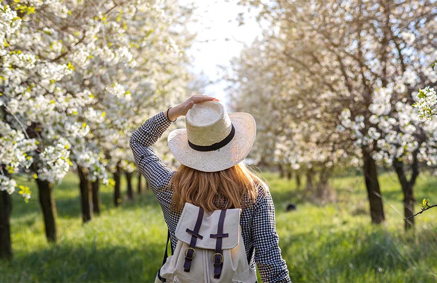 Places to travel to in April