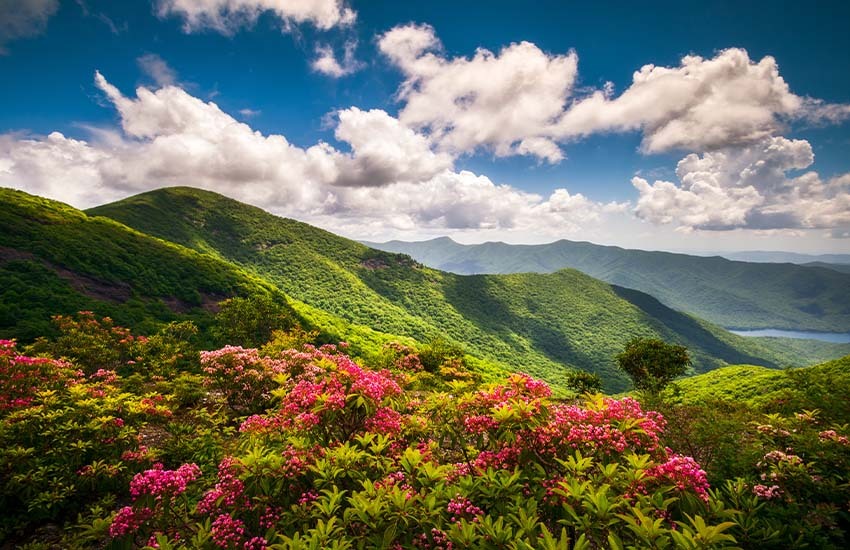 Places to travel to in March