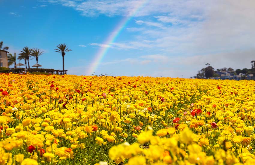 Spring destinations to visit with teens