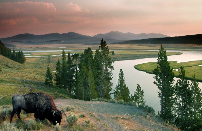 Yellowstone