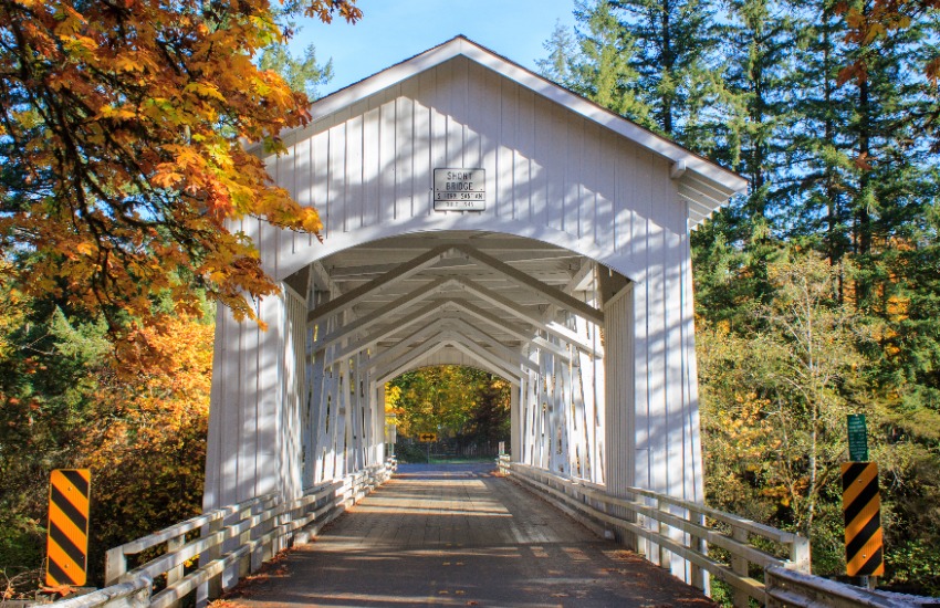 Short bridge