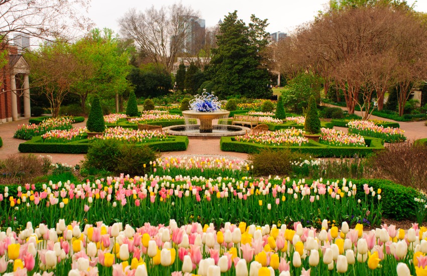 Atlanta Botanical Garden