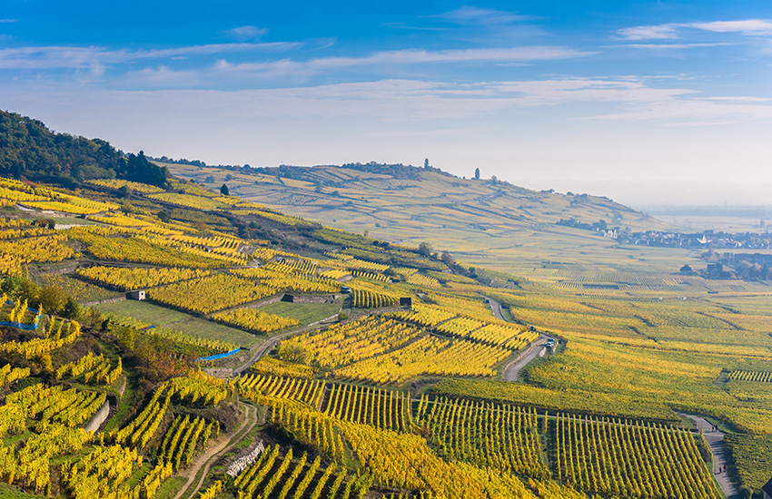Alsace Region