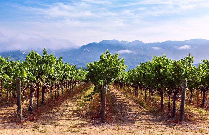 Napa Valley, California