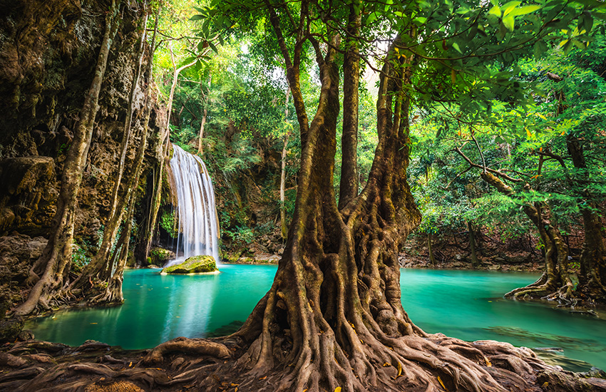 Northern Thailand