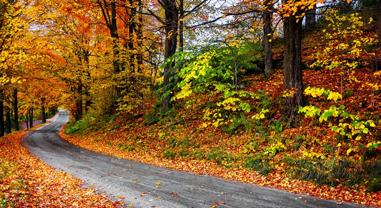 Travel social media captions